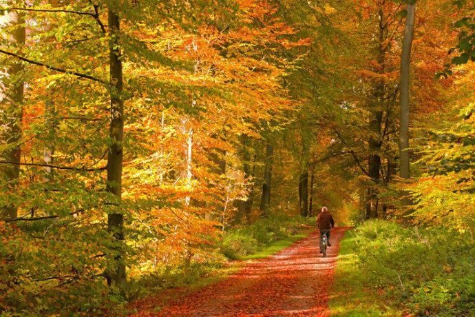 最美的风景，一直在路上（句句入心）(图4)