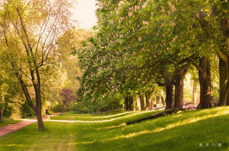 最美的风景，一直在路上（句句入心）(图6)