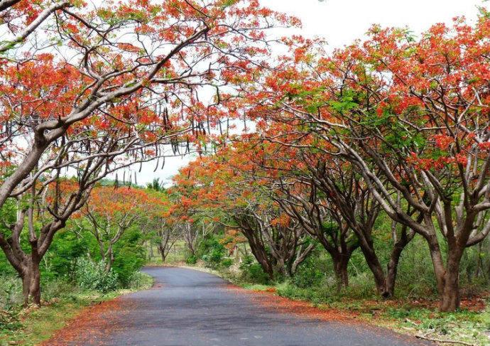 最美的风景，一直在路上（句句入心）(图7)