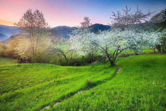 最美的风景，一直在路上（句句入心）(图8)