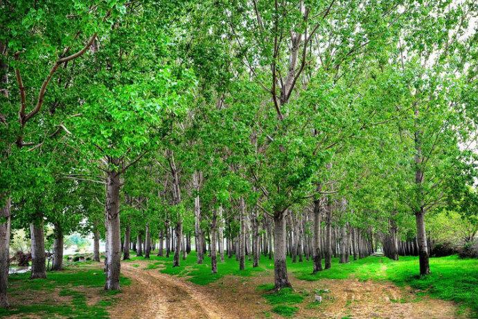 最美的风景，一直在路上（句句入心）(图9)