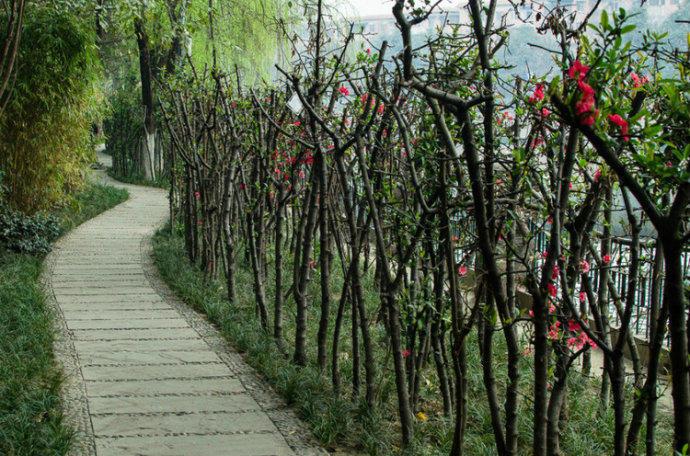 最美的风景，一直在路上（句句入心）(图11)