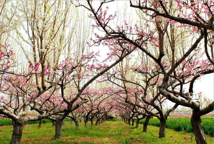 最美的风景，一直在路上（句句入心）(图12)