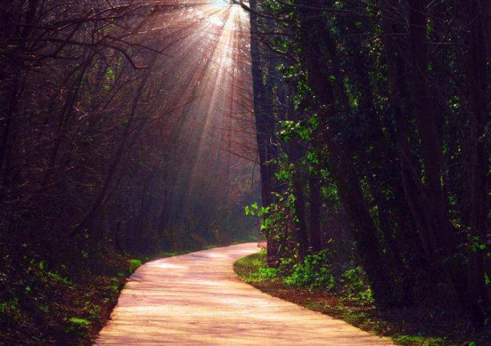 最美的风景，一直在路上（句句入心）(图14)