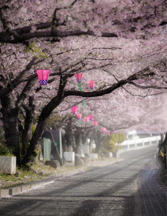 最美的风景，一直在路上（句句入心）(图17)