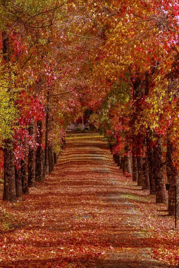 最美的风景，一直在路上（句句入心）(图18)