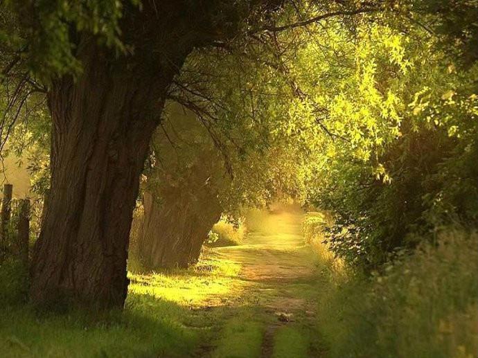 最美的风景，一直在路上（句句入心）(图20)