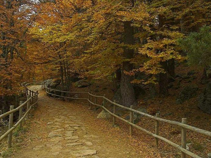 最美的风景，一直在路上（句句入心）(图22)