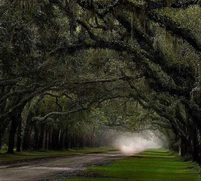最美的风景，一直在路上（句句入心）(图26)