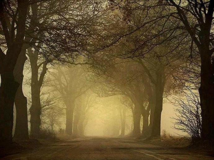 最美的风景，一直在路上（句句入心）(图28)