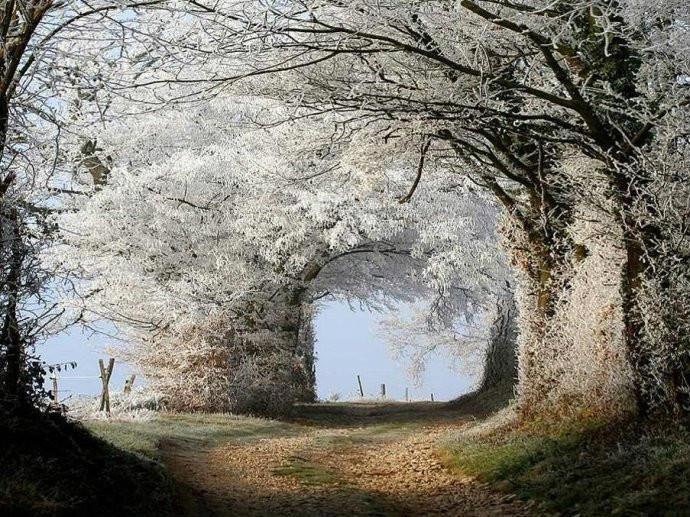 最美的风景，一直在路上（句句入心）(图29)