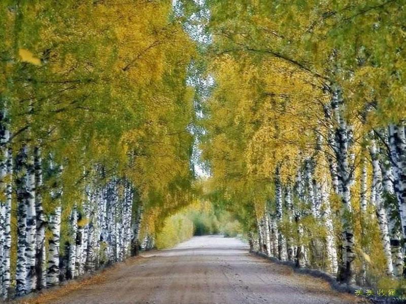 最美的风景，一直在路上（句句入心）(图31)