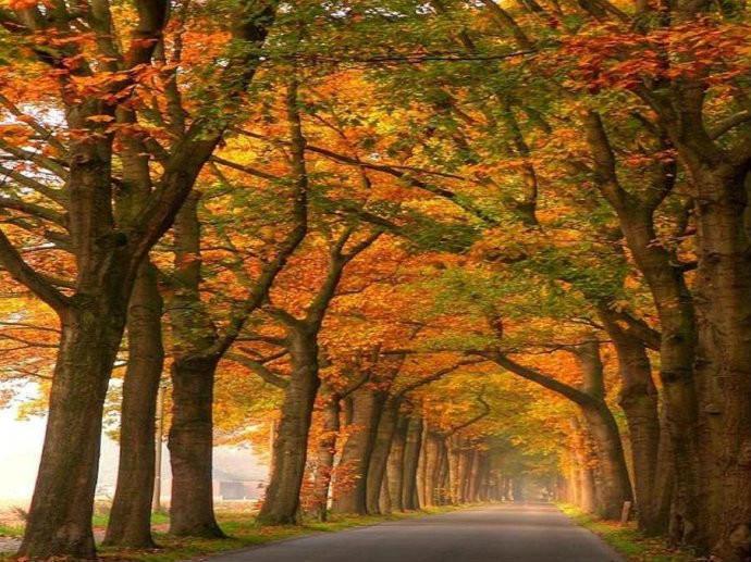 最美的风景，一直在路上（句句入心）(图32)