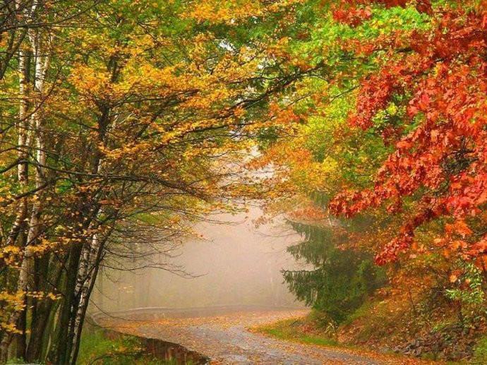 最美的风景，一直在路上（句句入心）(图33)