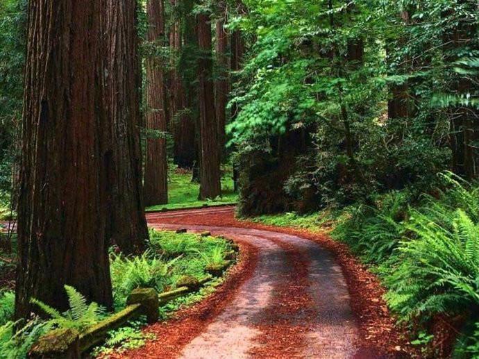 最美的风景，一直在路上（句句入心）(图35)