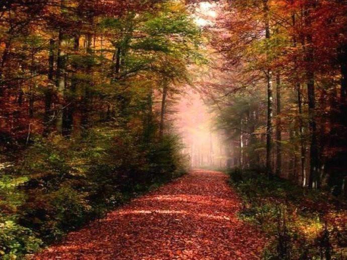 最美的风景，一直在路上（句句入心）(图37)