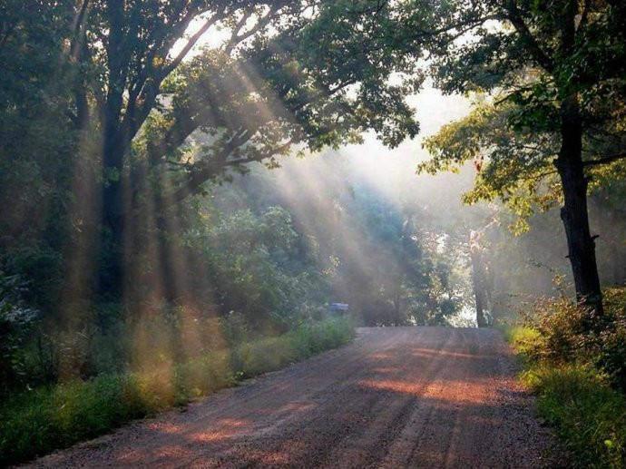 最美的风景，一直在路上（句句入心）(图38)