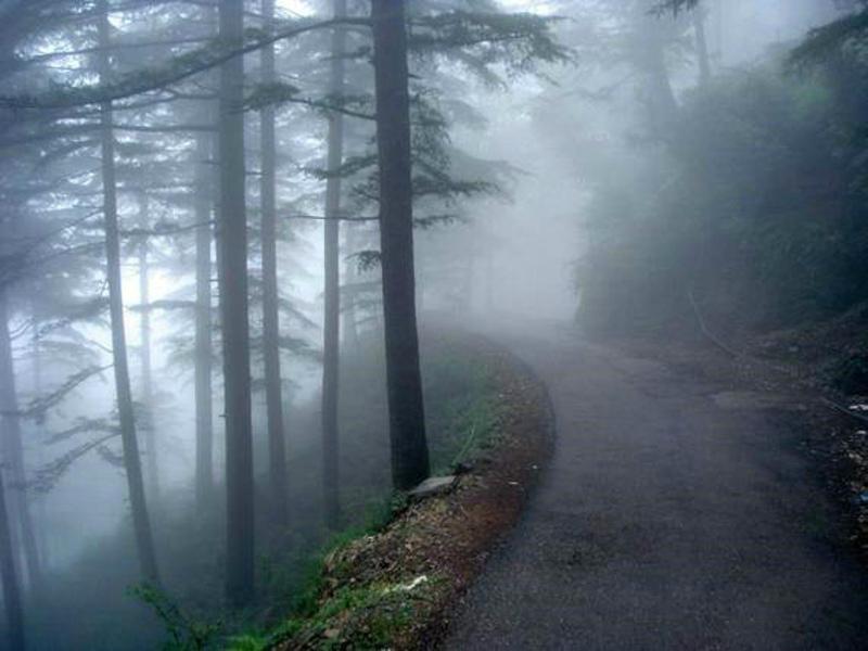 最美的风景，一直在路上（句句入心）(图40)