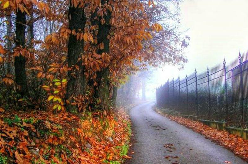 最美的风景，一直在路上（句句入心）(图41)