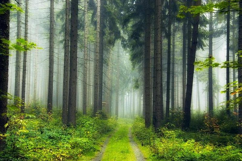 最美的风景，一直在路上（句句入心）(图42)