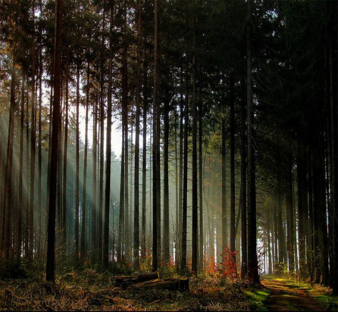 最美的风景，一直在路上（句句入心）(图45)