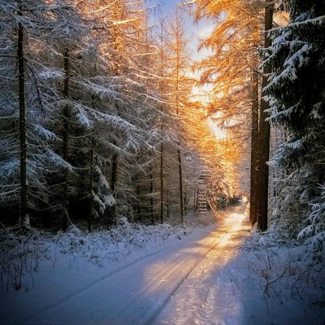 最美的风景，一直在路上（句句入心）(图46)