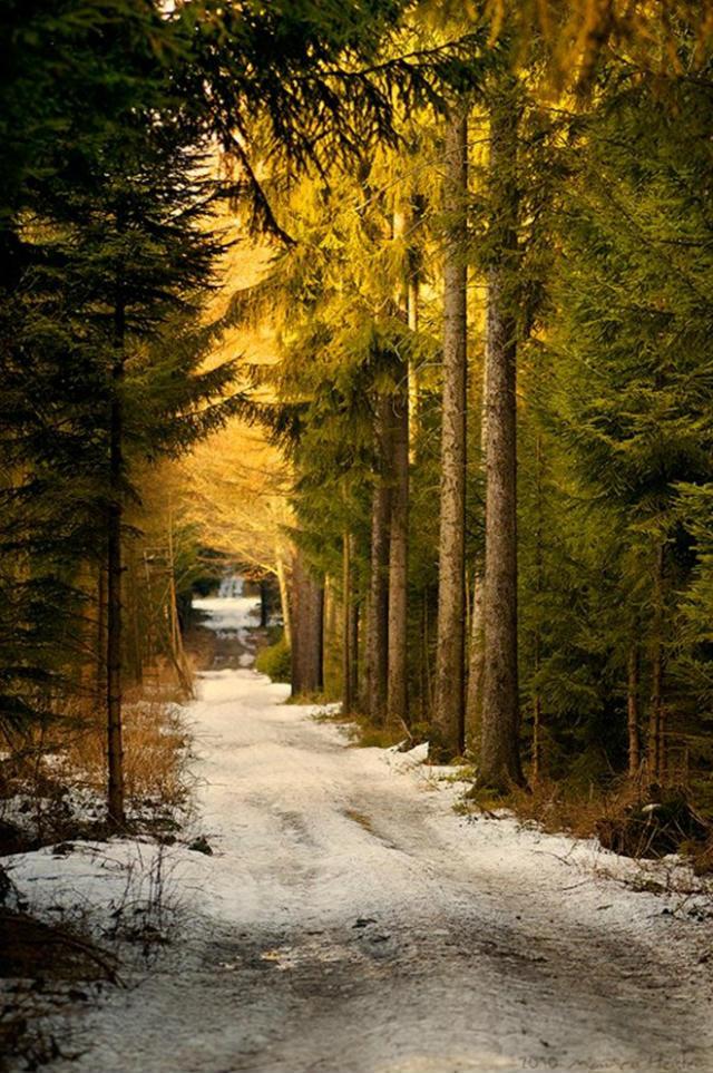 最美的风景，一直在路上（句句入心）(图47)