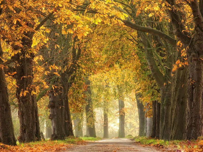 最美的风景，一直在路上（句句入心）(图48)