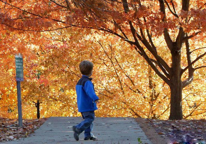 最美的风景，一直在路上（句句入心）(图49)
