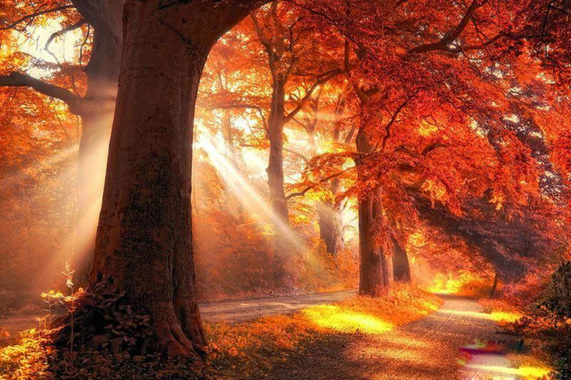 最美的风景，一直在路上（句句入心）(图50)