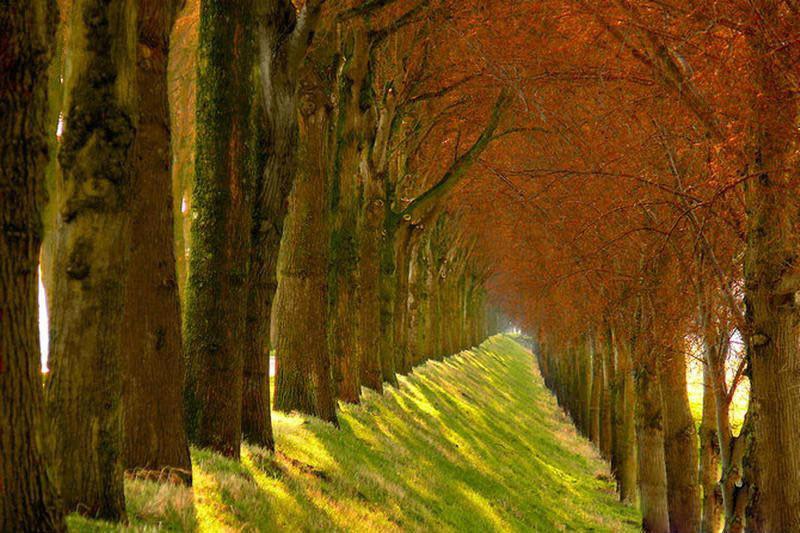 最美的风景，一直在路上（句句入心）(图52)