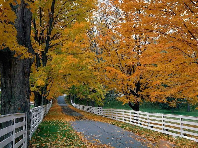 最美的风景，一直在路上（句句入心）(图54)