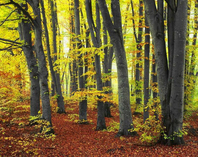 最美的风景，一直在路上（句句入心）(图55)