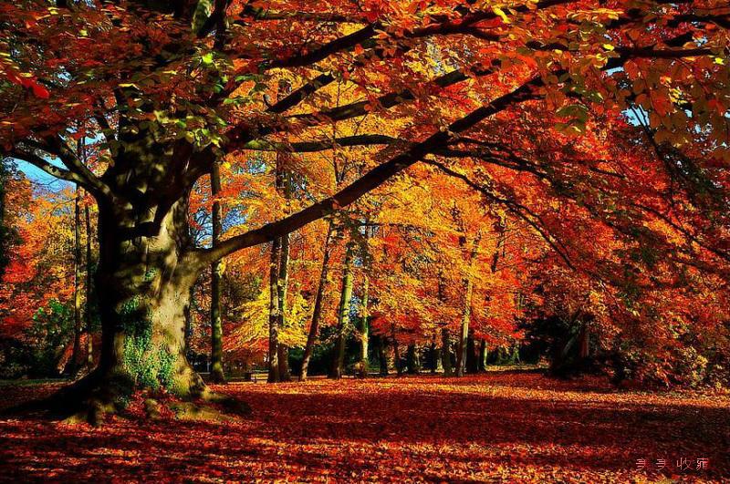 最美的风景，一直在路上（句句入心）(图57)