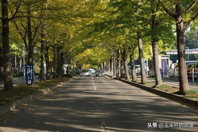 人生旅途中最美的句子，记得转发(图1)