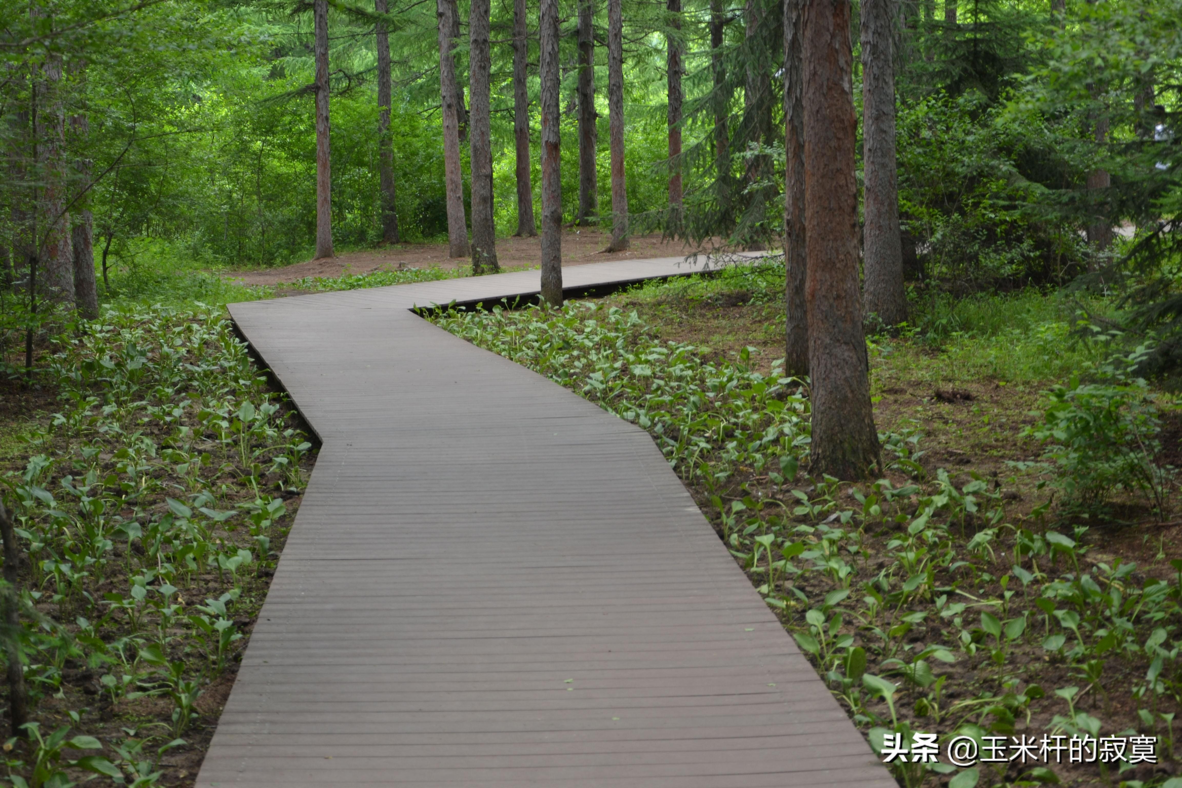 人生旅途中最美的句子，记得转发(图3)