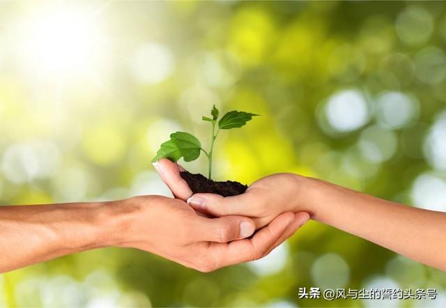 值得品读（30）舍得人生格言，句句在理，耐人寻味(图3)