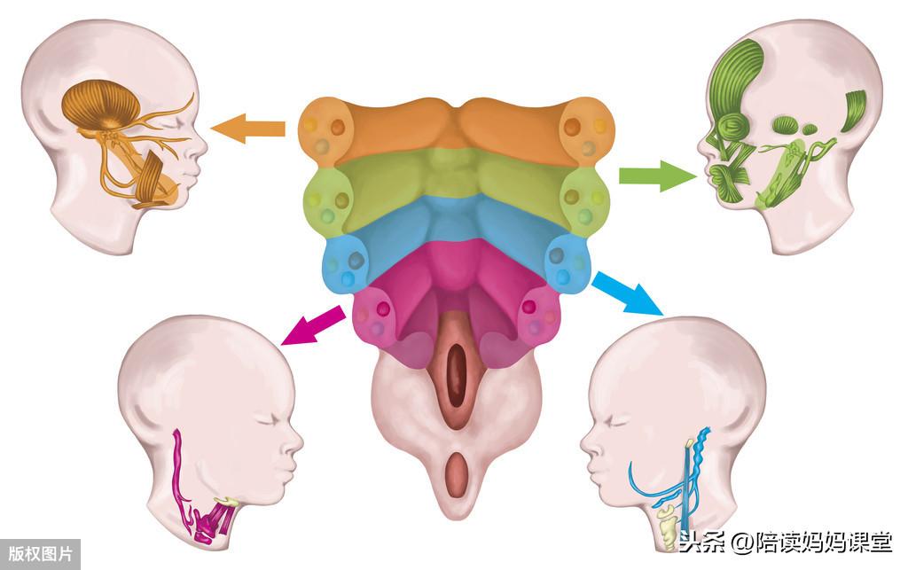 130句名人名言，分门别类，给孩子的写作添素材(图3)