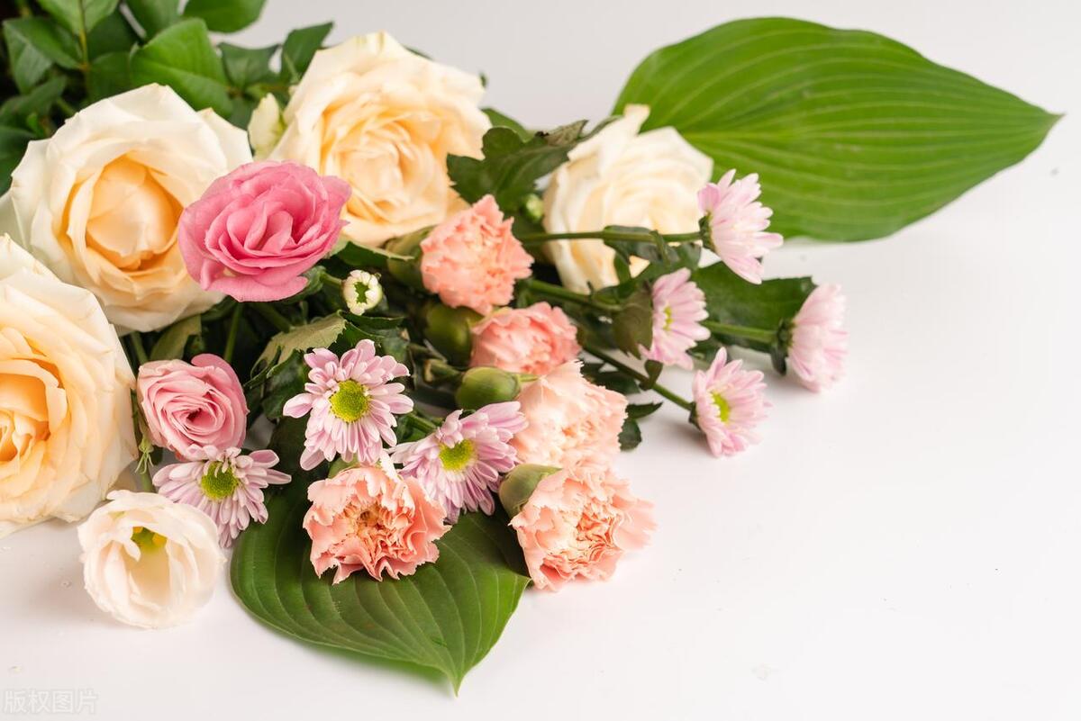 不打扰礼貌退场的告别文案：与君同舟渡，达岸各自归(图1)