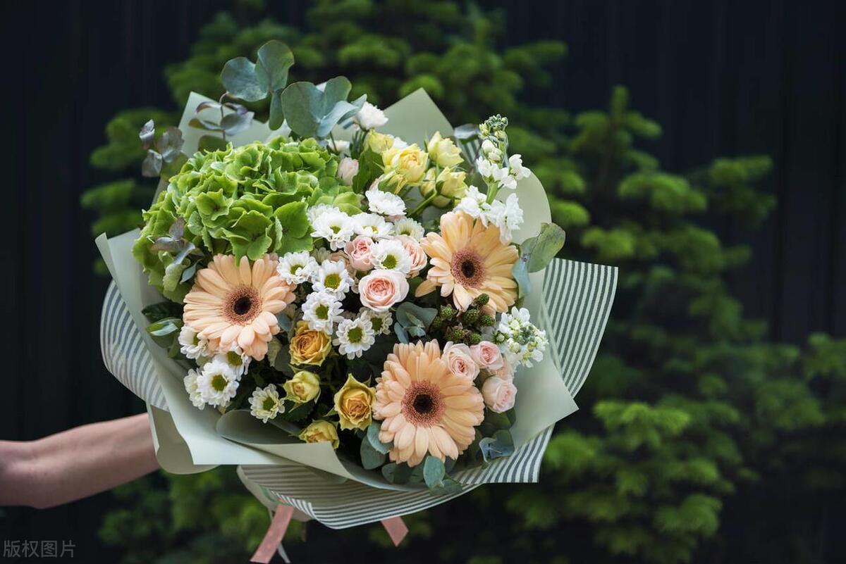 不打扰礼貌退场的告别文案：与君同舟渡，达岸各自归(图2)