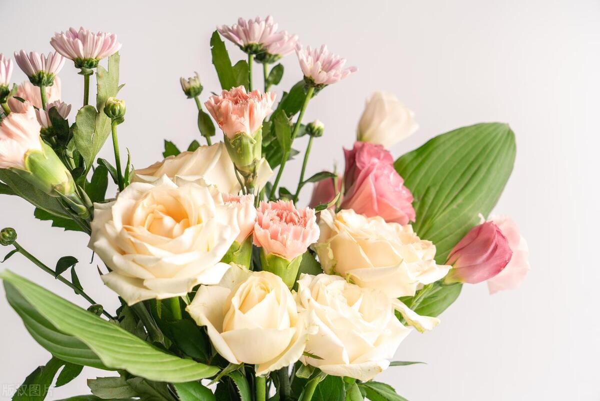 不打扰礼貌退场的告别文案：与君同舟渡，达岸各自归(图3)