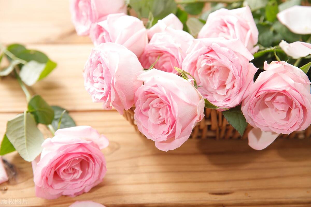 不打扰礼貌退场的告别文案：与君同舟渡，达岸各自归(图5)