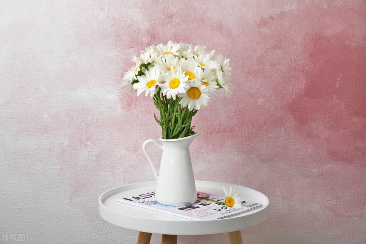 不打扰礼貌退场的告别文案：与君同舟渡，达岸各自归(图6)