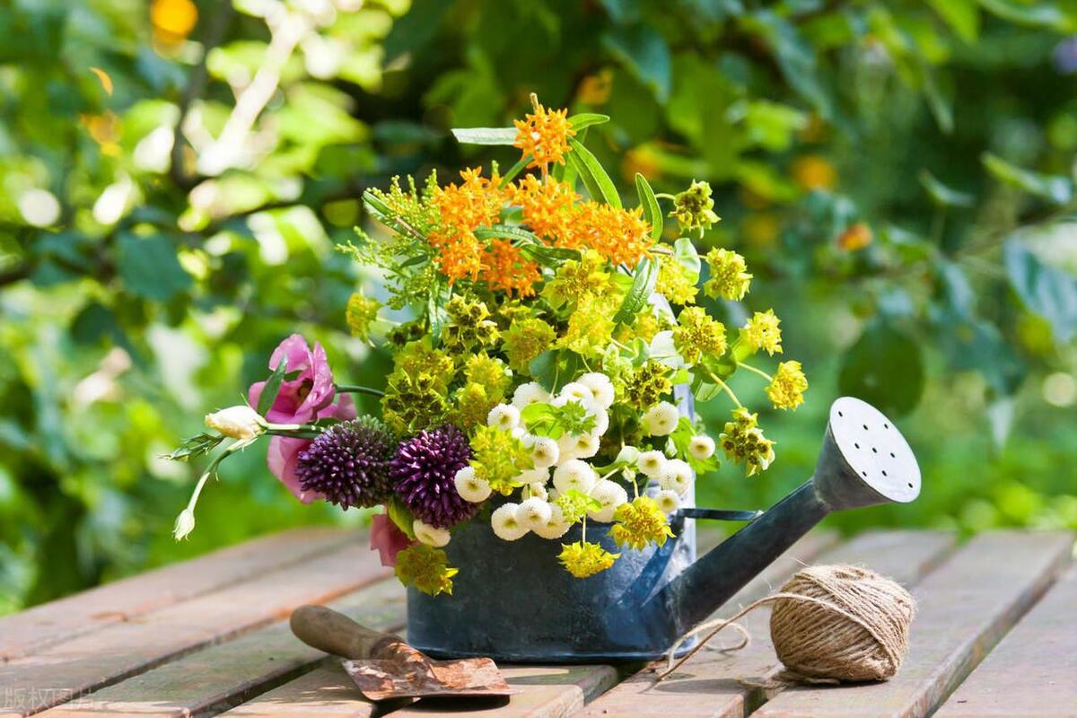 不打扰礼貌退场的告别文案：与君同舟渡，达岸各自归(图7)