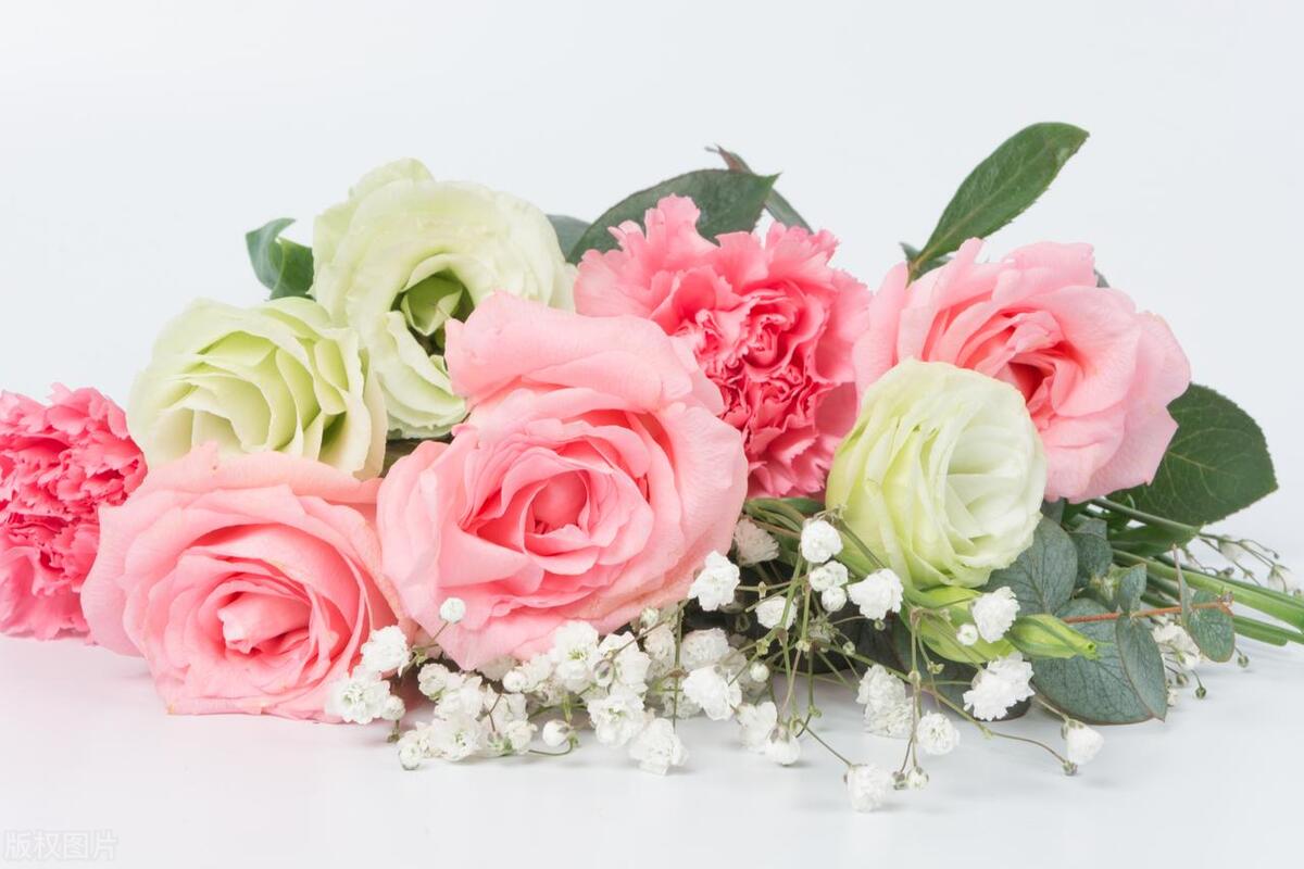 不打扰礼貌退场的告别文案：与君同舟渡，达岸各自归(图9)