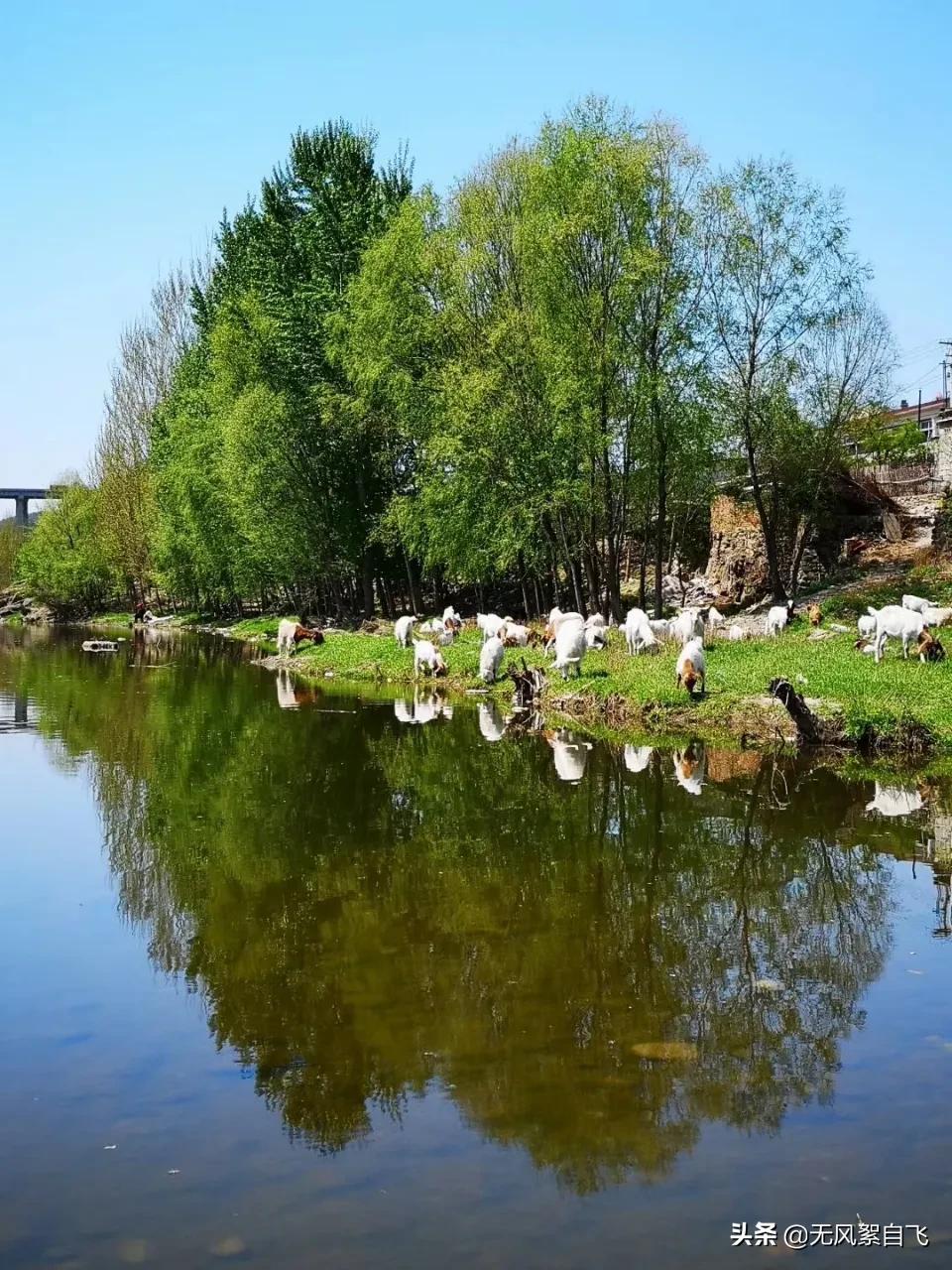弯弯的小河，青青的山岗，蓝蓝的天空，阵阵的花香，依偎着小村庄(图2)