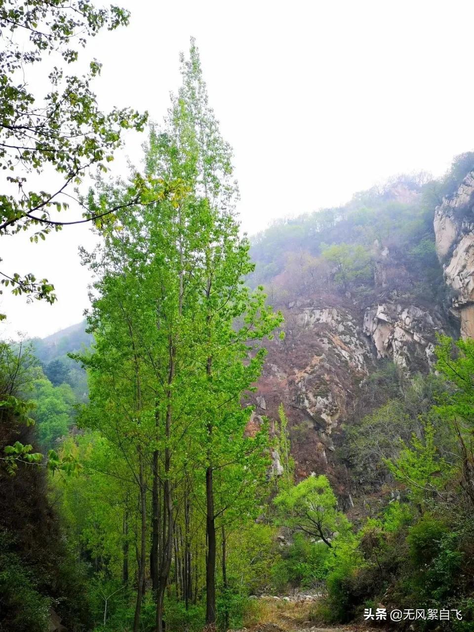 弯弯的小河，青青的山岗，蓝蓝的天空，阵阵的花香，依偎着小村庄(图5)