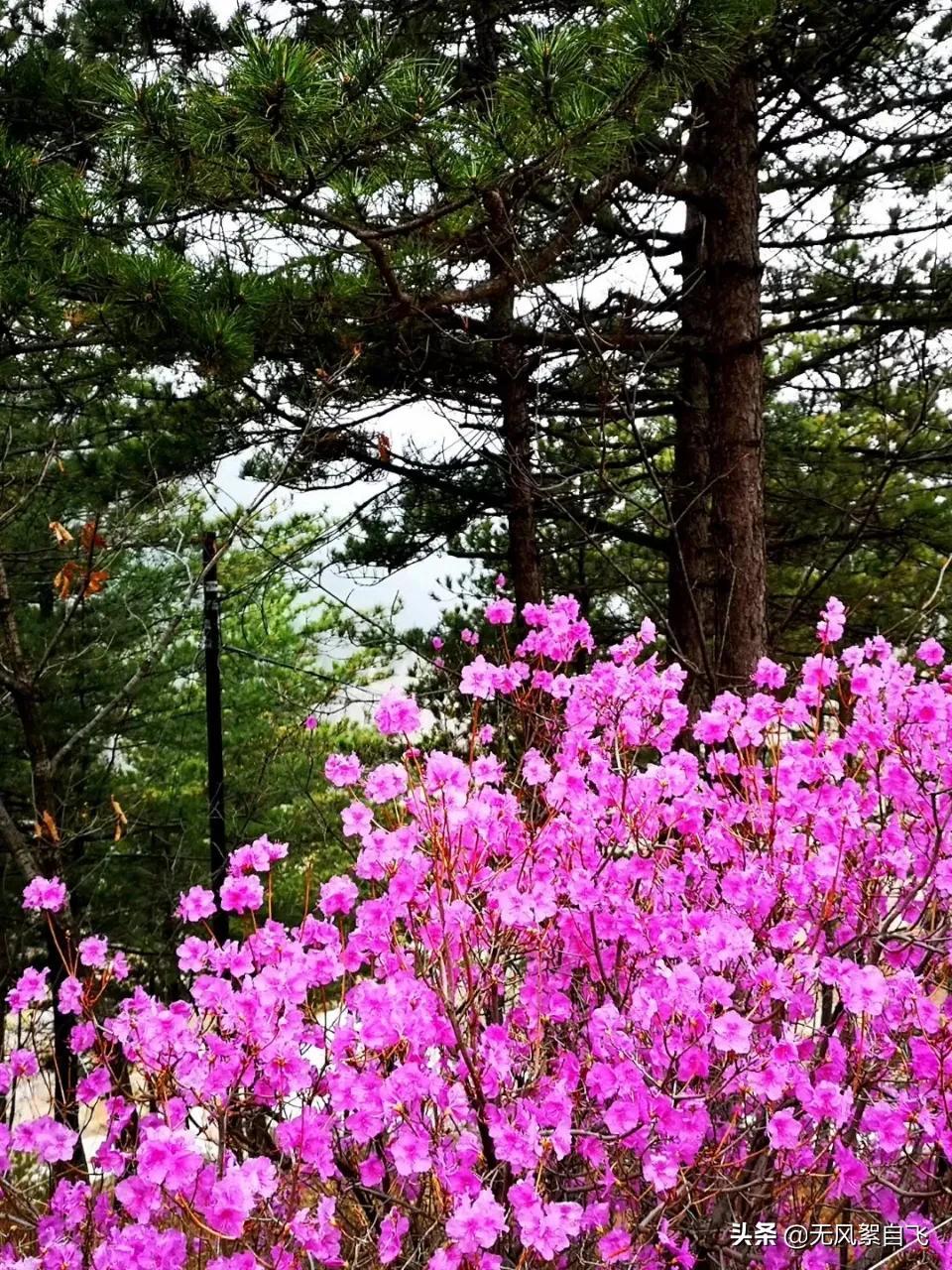 弯弯的小河，青青的山岗，蓝蓝的天空，阵阵的花香，依偎着小村庄(图6)