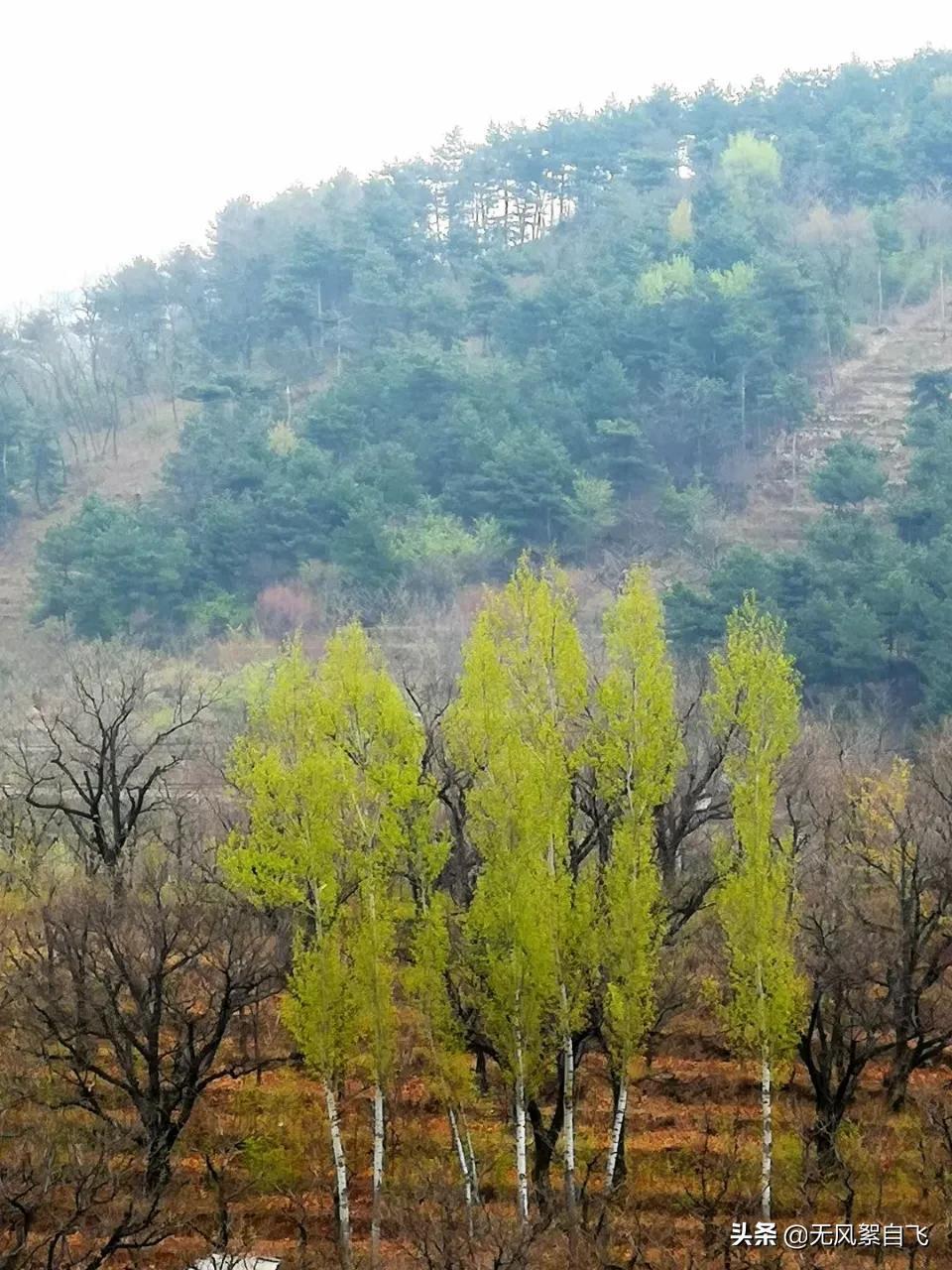 弯弯的小河，青青的山岗，蓝蓝的天空，阵阵的花香，依偎着小村庄(图8)