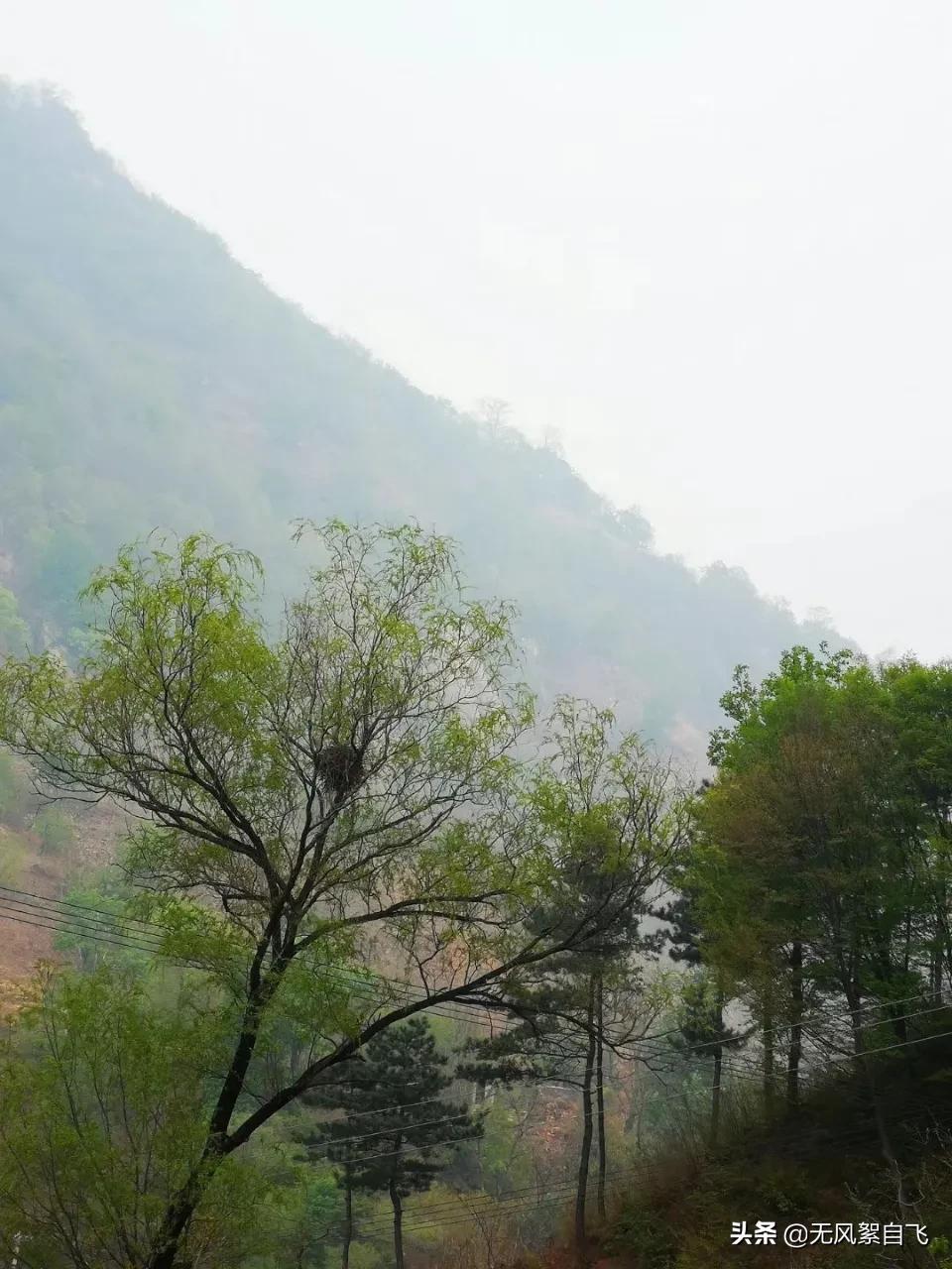 弯弯的小河，青青的山岗，蓝蓝的天空，阵阵的花香，依偎着小村庄(图9)